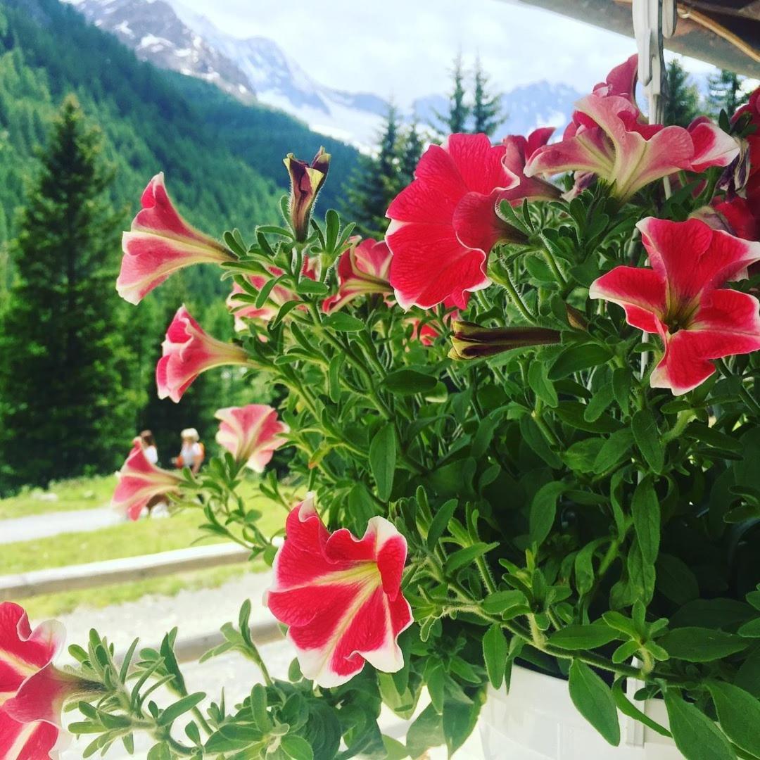 Hotel Gembro Chiesa in Valmalenco Exterior photo
